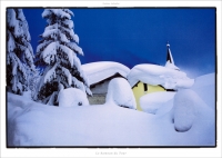 Постер природа 0814