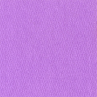 Паспарту №4038