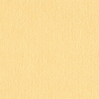 Паспарту №305