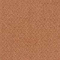 Паспарту №4021