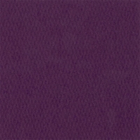 Паспарту №4041
