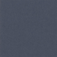 Паспарту №38
