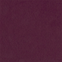 Паспарту №4042