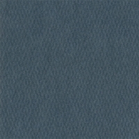 Паспарту №4051