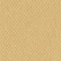 Паспарту №4027