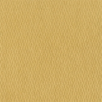 Паспарту №4028