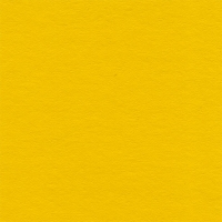 Паспарту №313