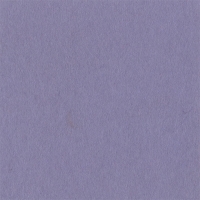 Паспарту №317